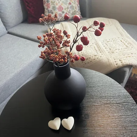 Med Spektakulaer Utsikt